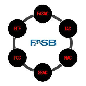 FASB - Grupos de trabalho